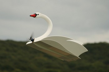 E-swan